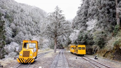 太平山國家森林遊樂區  一片霧淞雪白美景6
